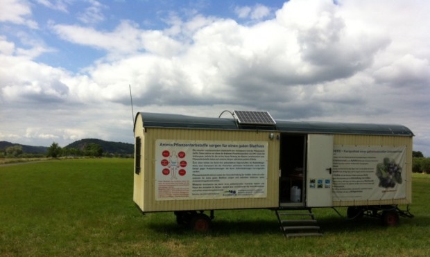 Aronia Infowagen am Elberadweg 