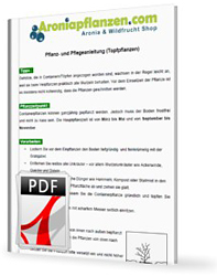 Pflananleitung Topfpflanzen / Container-Pflanzen